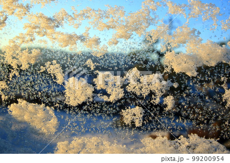 ガラス窓に付着した雪 (結晶) 99200954