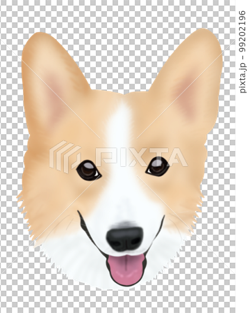 コーギー犬の顔のイラスト素材 [99202196] - PIXTA