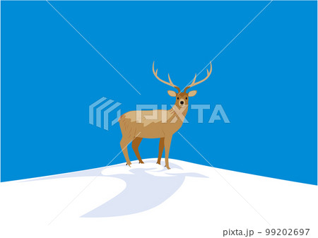 エゾシカ05オスジカ冬青空 エゾシカ05オスジカ冬青空 99202697