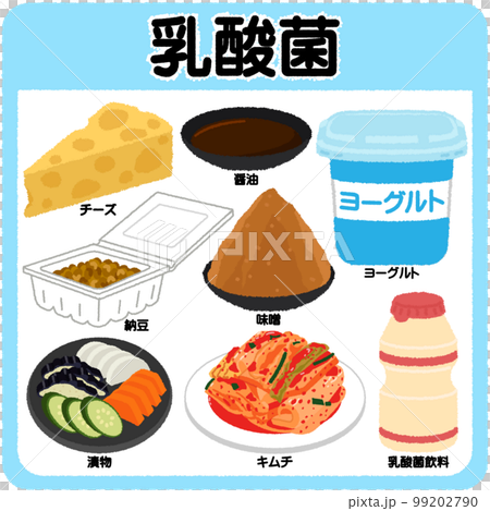 乳酸菌圖解 99202790