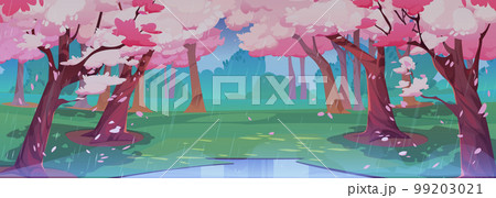 Japanese cherry rainy garden, sakura blossom 99203021