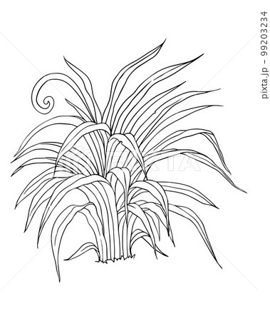 Vector bushes for cartoon background images. Vector bushes for cartoon background images. 99203234