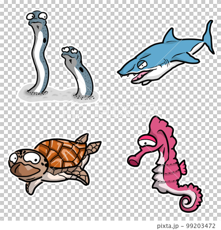 海洋生物(海馬、海龜、鯊魚、花園鰻) 海洋生物(海馬、海龜、鯊魚、花園鰻) 99203472