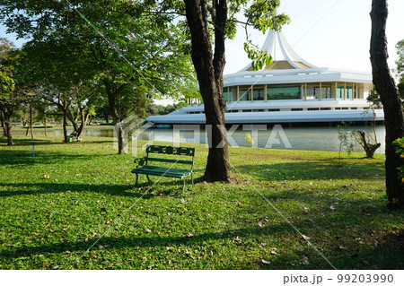 bench under the tree in the garden, Suanluang Rama 9, Bangkok Thailand bench under the tree in the garden, Suanluang Rama 9, Bangkok Thailand 99203990