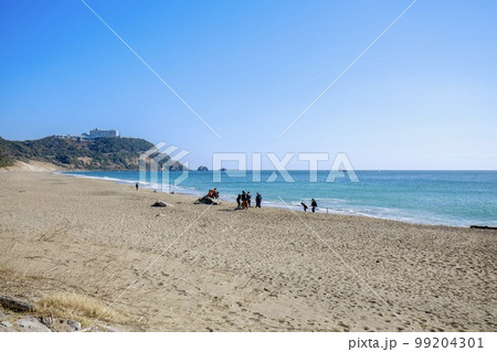 田原市 恋路ヶ浜の風景 田原市 恋路ヶ浜の風景 99204301
