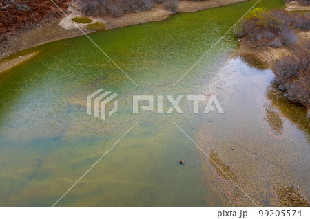 晩秋の鬼怒川渓谷 澄んだ緑色の水面 晩秋の鬼怒川渓谷 澄んだ緑色の水面 99205574