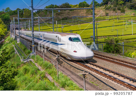 （静岡県）牧之原の茶畑を走る新幹線　下り線 99205787