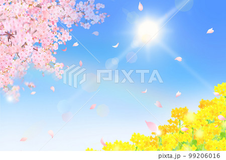 菜の花ー空に虹と輝く太陽ー美しく華やかな花びら舞い散る春の桜フレーム背景素材のイラスト素材 [99206016] - PIXTA