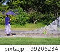 夏の香川県坂出市瀬戸大橋記念公園の噴水で遊ぶ子供と見守る母 99206234