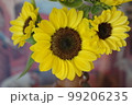 ヒマワリの切り花三輪 99206235