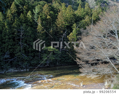 岩盤を流れる山間の川 岩盤を流れる山間の川 99206554