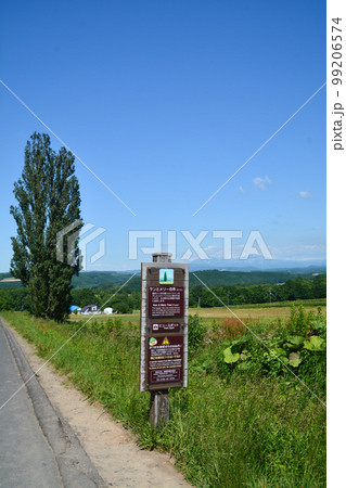 ケンとメリーの木 99206574