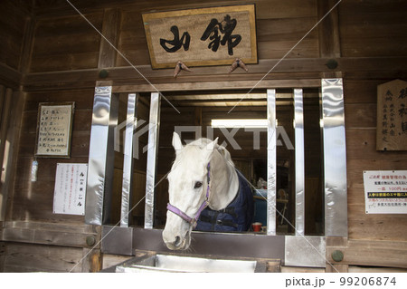 多度大社 神馬舎 99206874