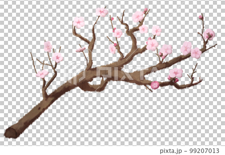 Cherry blossom branch illustration material Cherry blossom branch illustration material 99207013