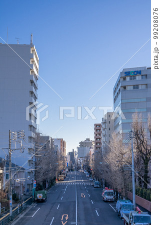 不忍通り 不忍通り 99208076