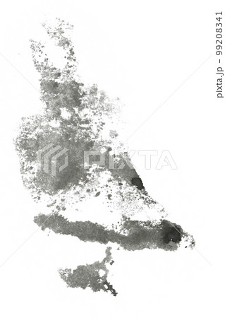 Black Hand drawn Abstract Watercolor Stain Isolated on White Background. Watercolour Spot for Decoration, Poster, Banner, Greeting Cards Design. 99208341