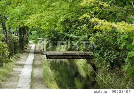 新緑の哲学の道 99208407