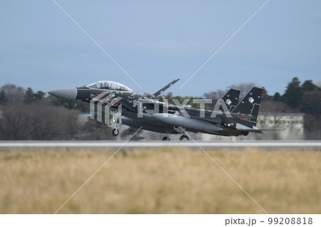航空自衛隊飛行教導群F-15DJ着陸 99208818