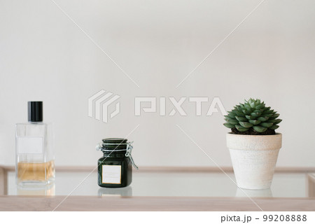 A succulent in a white ceramic pot and a candle in the decor of the room on the shelf 99208888