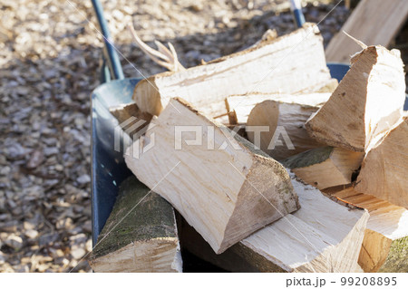 割ったばかりの薪 99208895
