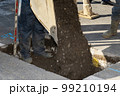 水道工事（東京都） 99210194