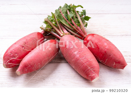 赤大根 赤大根 99210320