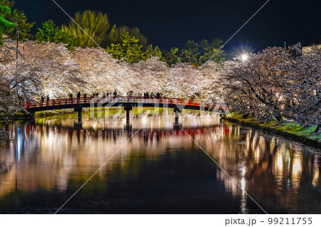 弘前公園西堀　夜桜　ライトアップ 99211755