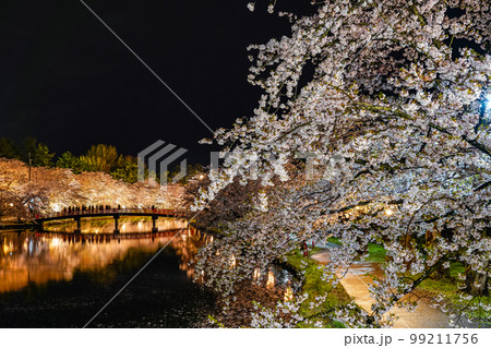 弘前公園西堀　夜桜　ライトアップ 99211756