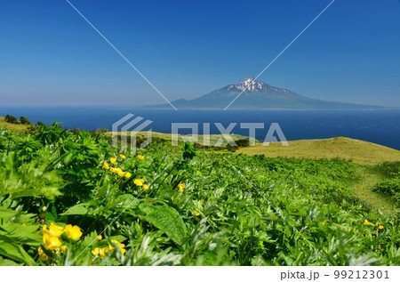 礼文島ハイキング 礼文島ハイキング 99212301