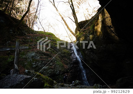 奥多摩清流のやすらぎ 奥多摩清流のやすらぎ 99212629