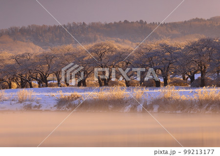岩手県北上市　朝焼けの冬景色 99213177