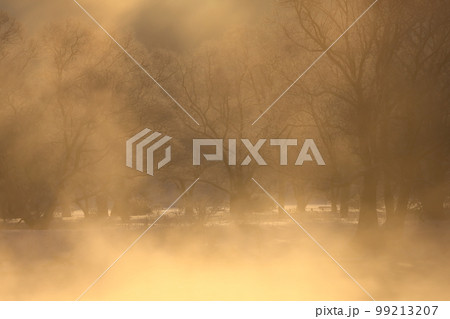 岩手県北上市 朝焼けの冬景色 岩手県北上市 朝焼けの冬景色 99213207