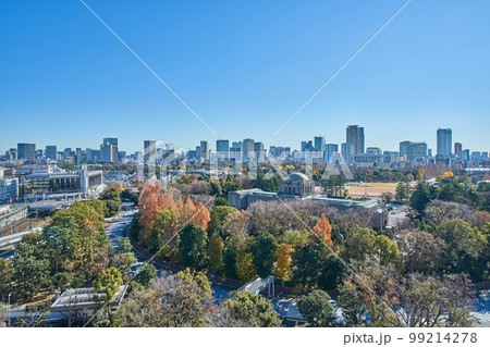 東京の風景写真 99214278
