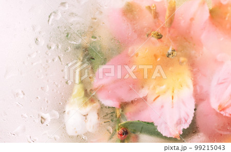 Background of blooming flowers in front of glass with water drops 99215043