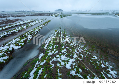 Flooded fields and dirt road after melting snow, january day in eastern Poland 99215282