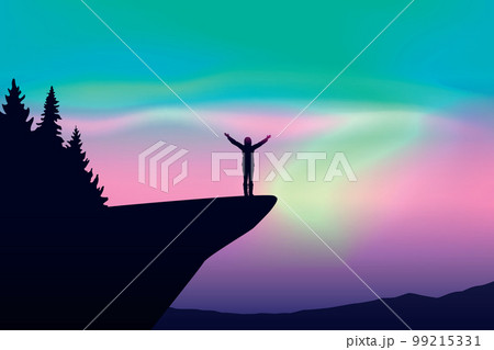 girl on a cliff looks in the colorful starry sky with aurora borealis 99215331