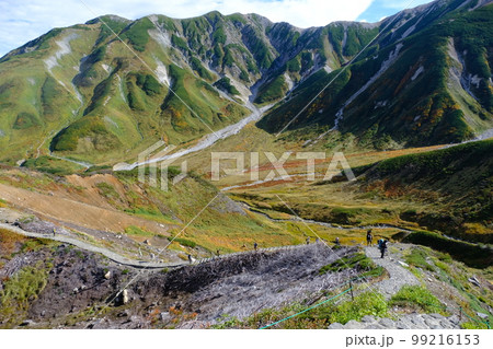 朝の立山 99216153