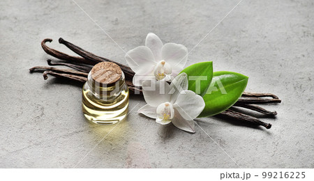Vanilla pods with leaves and essential oil on gray background 99216225