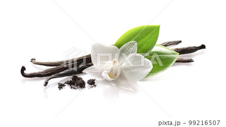 Vanilla pods with leaves isolated on white background 99216507