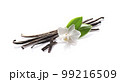 Vanilla pods with leaves isolated on white background 99216509