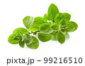 Marjoram twigs on white background 99216510