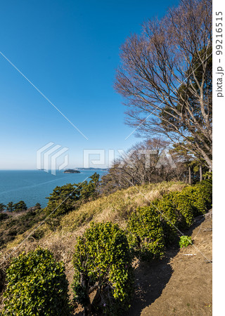 《愛知県》蒲郡市西浦温泉　快晴の西浦園地 99216515