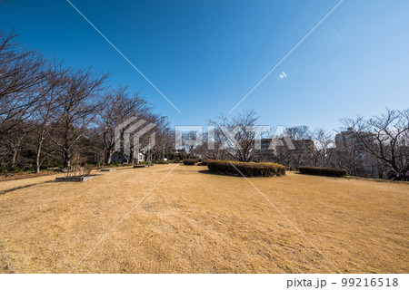 《愛知県》蒲郡市西浦温泉 快晴の西浦園地 《愛知県》蒲郡市西浦温泉 快晴の西浦園地 99216518