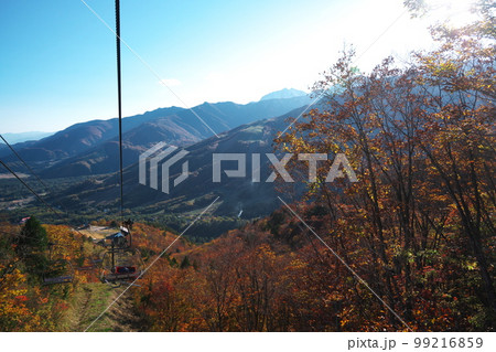 紅葉の白馬岩岳マウンテンリゾート　5線サウスリフトからの眺め 99216859