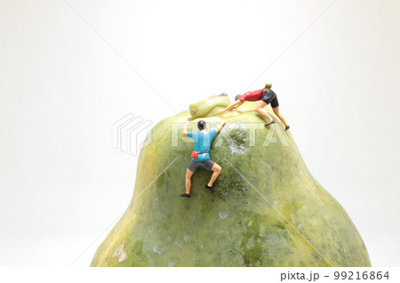 the fun tiny figure climb the pawpaw the fun tiny figure climb the pawpaw 99216864