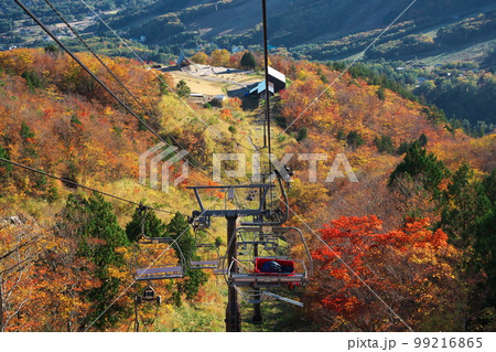 紅葉の白馬岩岳マウンテンリゾート 5線サウスリフトからの眺め 紅葉の白馬岩岳マウンテンリゾート 5線サウスリフトからの眺め 99216865