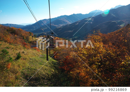 紅葉の白馬岩岳マウンテンリゾート 5線サウスリフトからの眺め 紅葉の白馬岩岳マウンテンリゾート 5線サウスリフトからの眺め 99216869