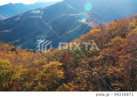 紅葉の白馬岩岳マウンテンリゾート　5線サウスリフトからの眺め 99216871