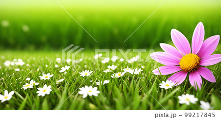 Spring landscape with grass and flowers Spring landscape with grass and flowers 99217845