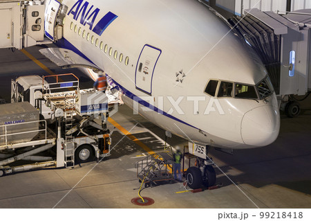 コンテナの積み下ろし　旅客機　羽田空港 99218418